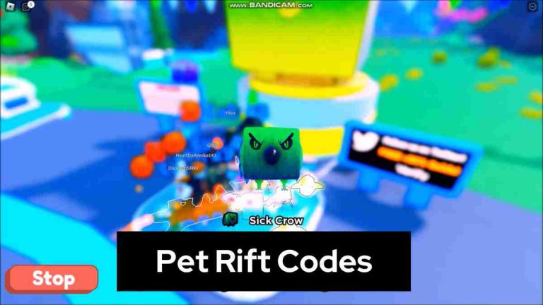 Pet Rift Codes