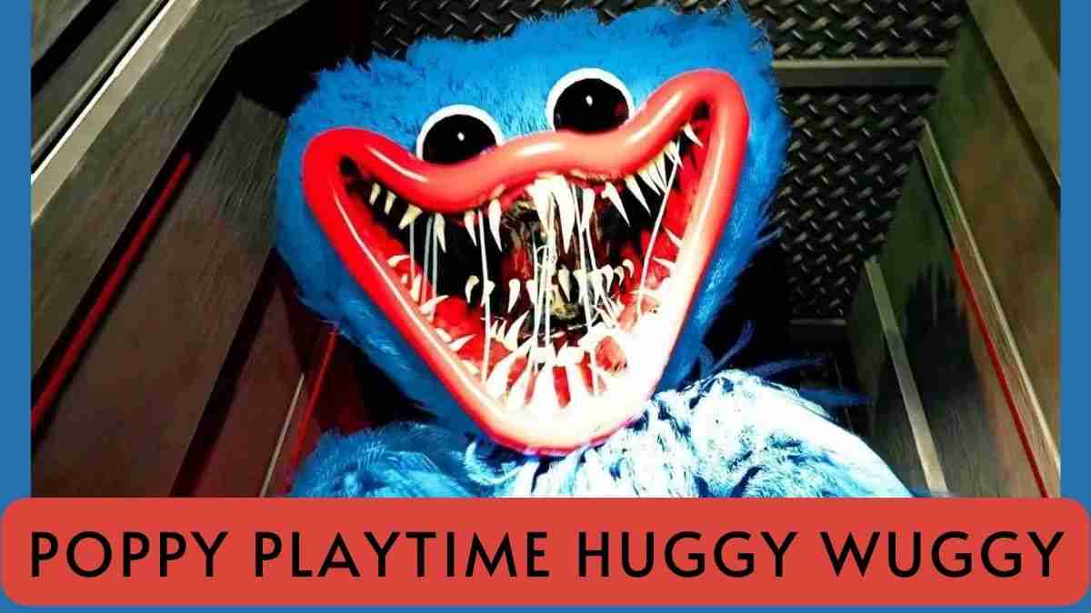 Poppy Playtime Huggy Wuggy