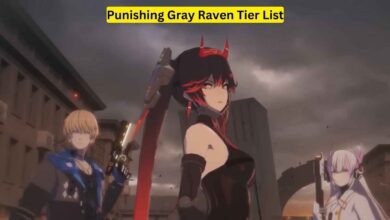 Punishing Gray Raven Tier List