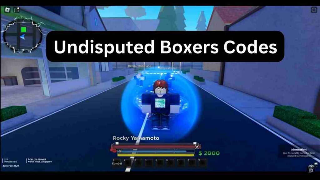 Undisputed Boxers Codes