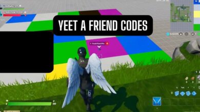 Yeet a friend codes