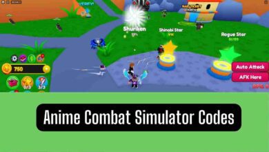 Anime Combat Simulator Codes