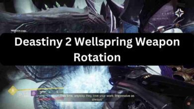 Deastiny 2 Wellspring Weapon Rotation and Drops 2025 4 Deastiny 2 Wellspring Weapon Rotation