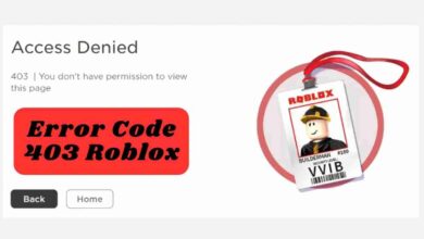 Error Code 403 Roblox 2025: What is it and How to Fix It? 4 Error Code 403 Roblox