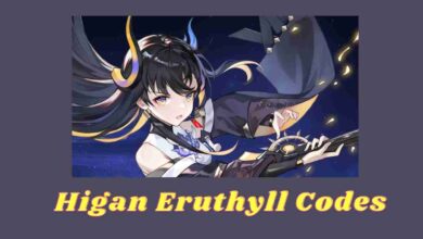 Higan Eruthyll Codes