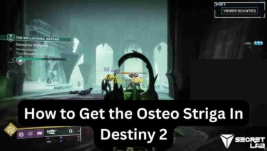 How to Get the Osteo Striga God Roll: God Roll for PvP & PvE 3 How to Get the Osteo Striga In Destiny 2