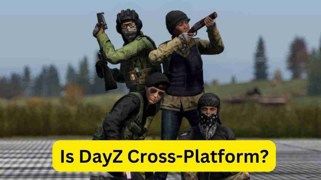 Is DayZ Cross-Platform?