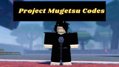 Project Mugetsu Codes