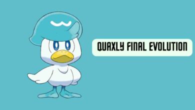 Quaxly Final Evolution