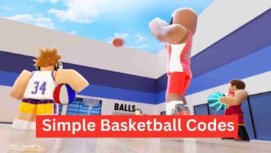 Simple Basketball Codes