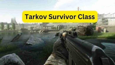 Tarkov Survivor Class 2025: What is survivor class in tarkov 5 Tarkov Survivor Class