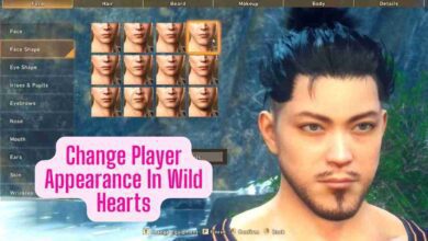 wild hearts change appearance