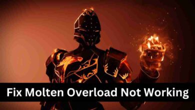 How to Fix Destiny 2's Molten Overload Not Working? 2 Fix Destiny 2's Molten Overload Not Working