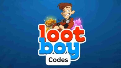 Lootboy Codes: Latest Codes (July 2025) 2 Lootboy Codes