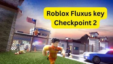 Roblox Fluxus key Checkpoint 2