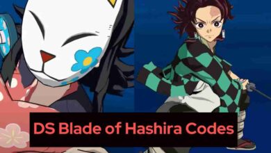 DS Blade of Hashira Codes