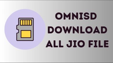 omnisd Download