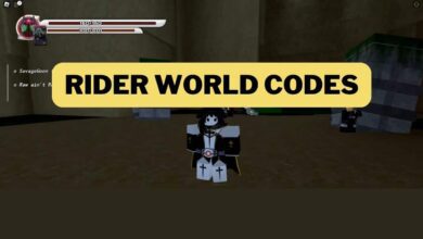 Rider World codes (July 2025) ideal location 3 Rider World codes