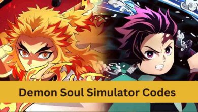 Demon Soul Simulator Codes
