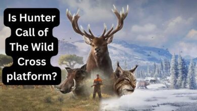 Is Hunter Call of The Wild Cross platform