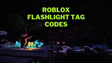 Roblox Flashlight Tag Codes