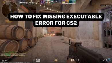 Missing Executable Error for CS2