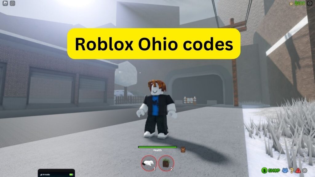 Roblox Ohio codes