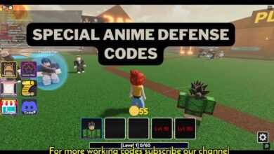 Special Anime Defense Codes