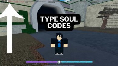 Type Soul Codes {Phoenix} (July 2025) 2 Type Soul Codes