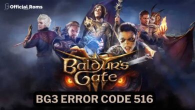 BG3 Error Code 516