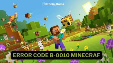 Error Code B-0010 Minecraf