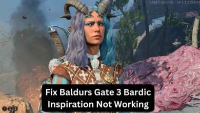 Fix Baldurs Gate 3 Bardic Inspiration Not Working