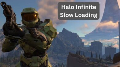 Halo Infinite Slow Loading
