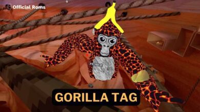 How to Fix Gorilla Tag not Working?