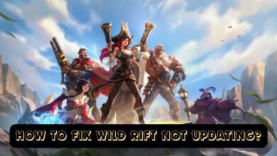How to Fix Wild Rift Not Updating?