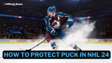 How to Protect Puck In NHL 24 5 How to Protect Puck In NHL 24