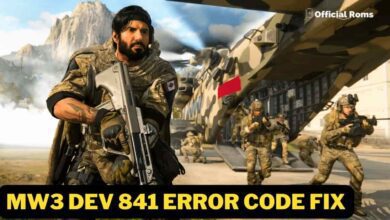 Mw3 dev 841 error code fix