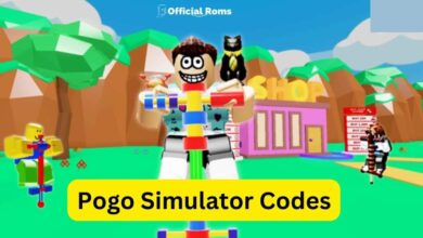 Pogo Simulator Codes
