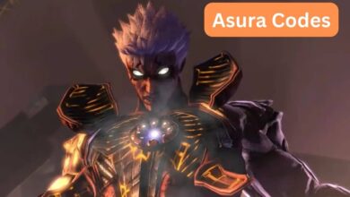 Asura Codes