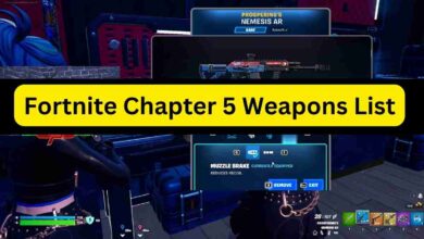 Fortnite Chapter 5 Weapons List 2025 4 Fortnite Chapter 5 Weapons List