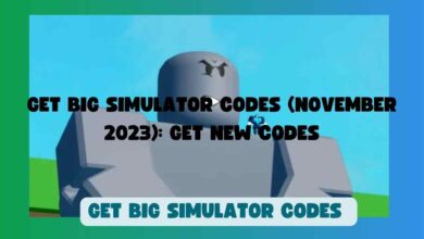 Get Big Simulator Codes