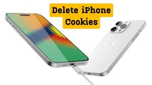 How to Delete iPhone Cookies on ipad? 2 How to Delete iPhone Cookies