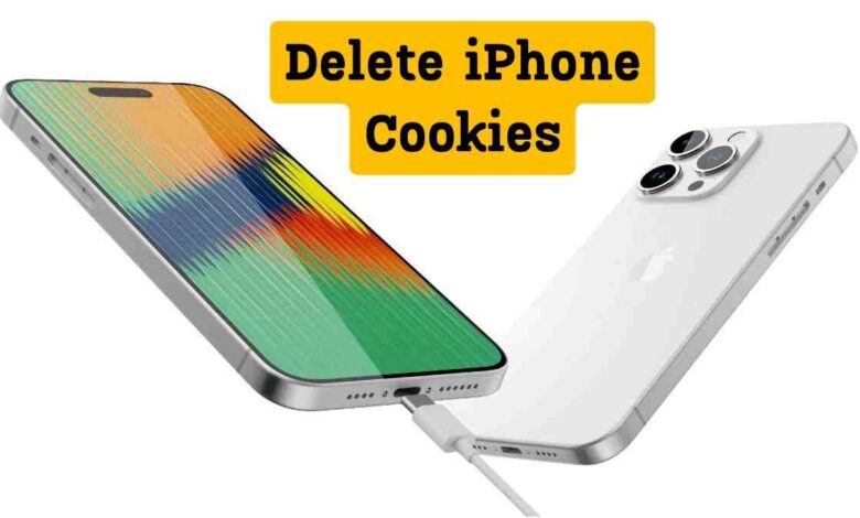 How to Delete iPhone Cookies