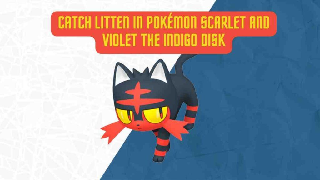 How to catch Litten in Pokémon Scarlet and Violet The Indigo Disk