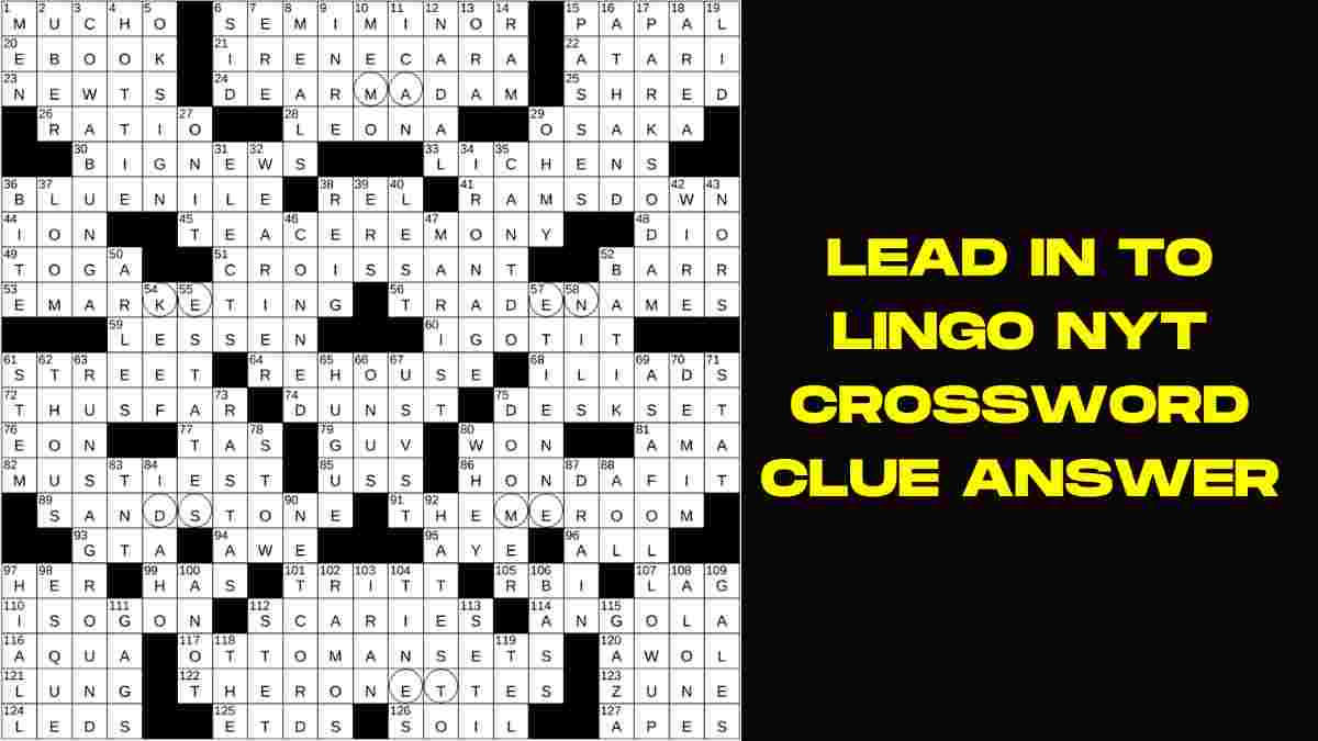 Lead in to lingo NYT Crossword Clue Answer