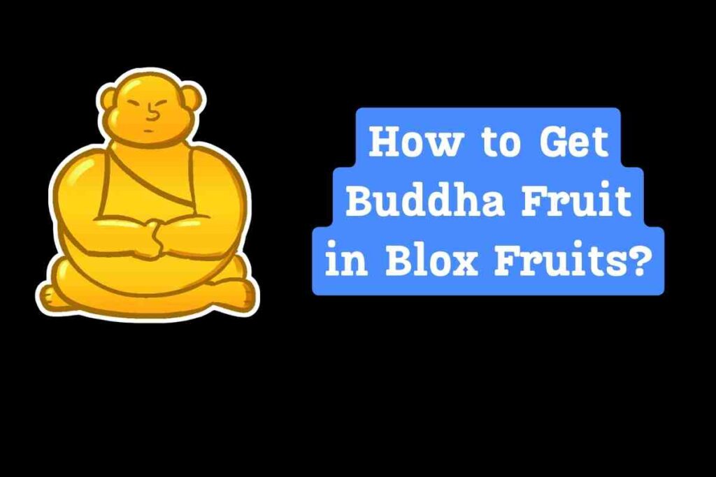 How to Get Buddha Fruit in Blox Fruits?