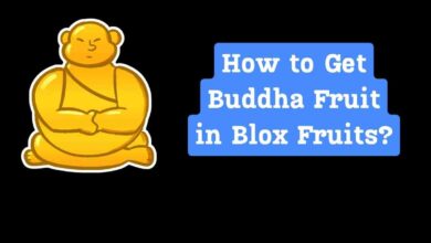 How to Get Buddha Fruit in Blox Fruits?