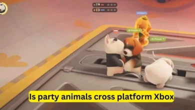 Is party animals cross platform Xbox and PC 2024 5 Is party animals cross platform