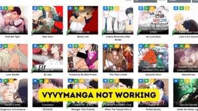VyvyManga Not Working Issue