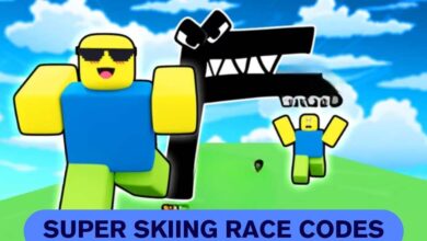 Super Skiing Race Codes